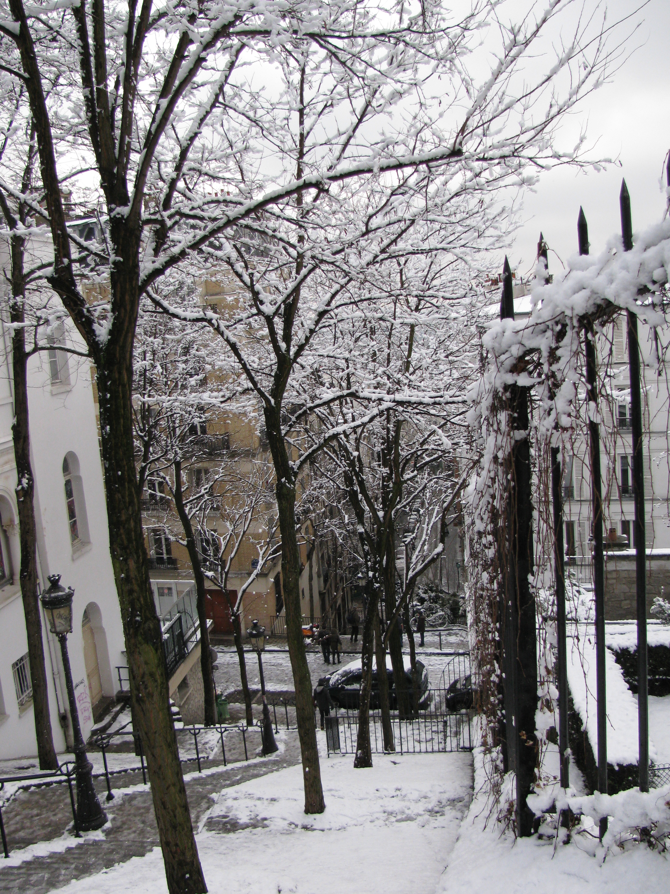 luigi_guarino_montparnasse