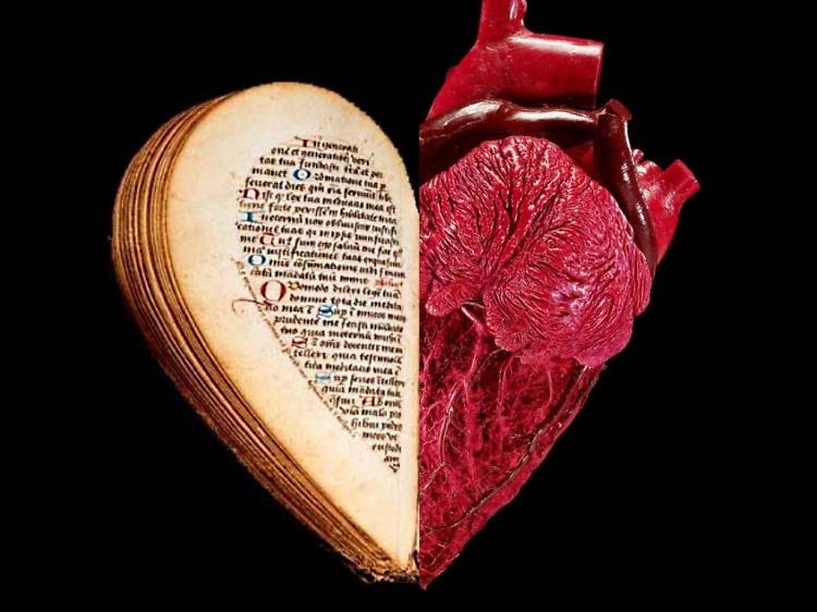 Tour the most macabre medical specimens