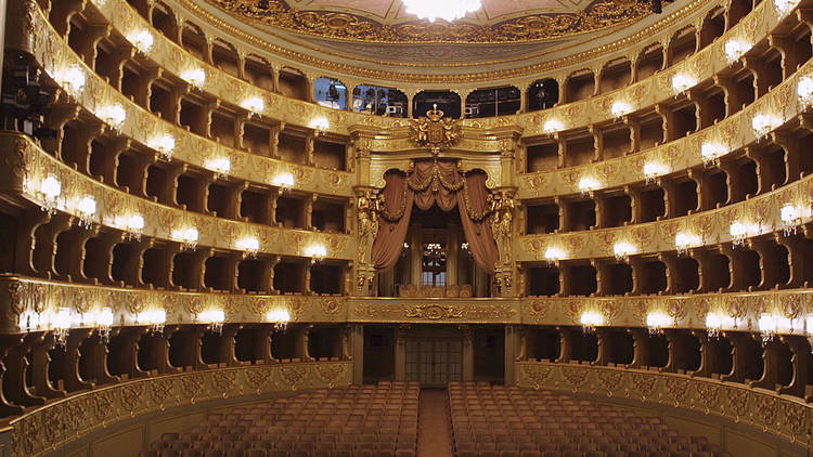 Teatro Nacional São Carlos transmite concertos online