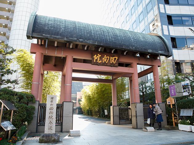 回向院 回向院