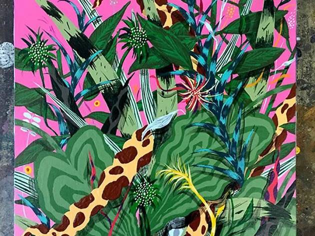 wild frontiers wild frontiers