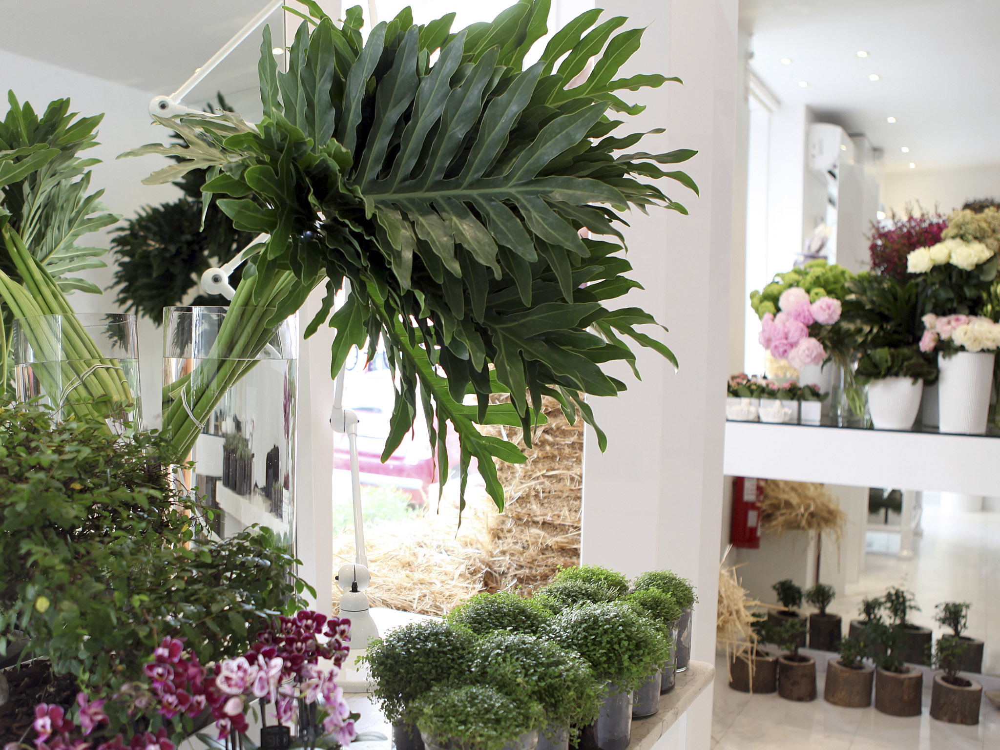 flower shop perfume