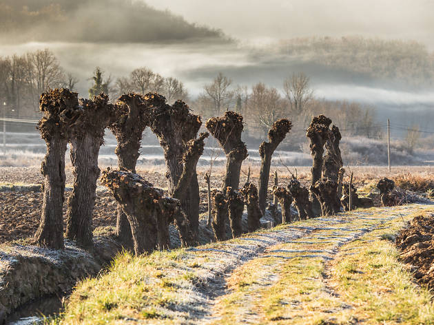 La Garrotxa La Garrotxa