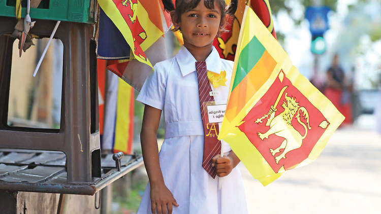 Waving Flags