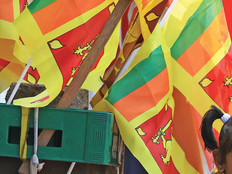 Waving Flags