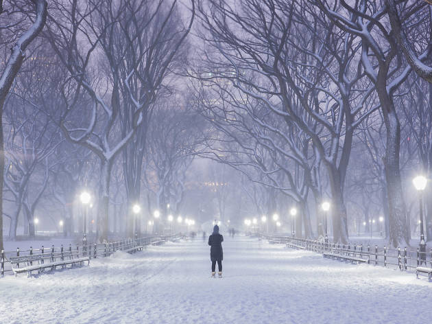 50 amazing things to do in NYC in February 50 amazing things to do in NYC in February