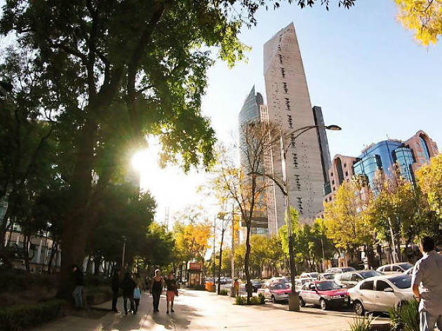 Reforma en Instagram Reforma en Instagram