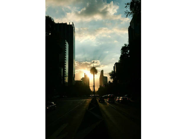 Reforma en Instagram Reforma en Instagram