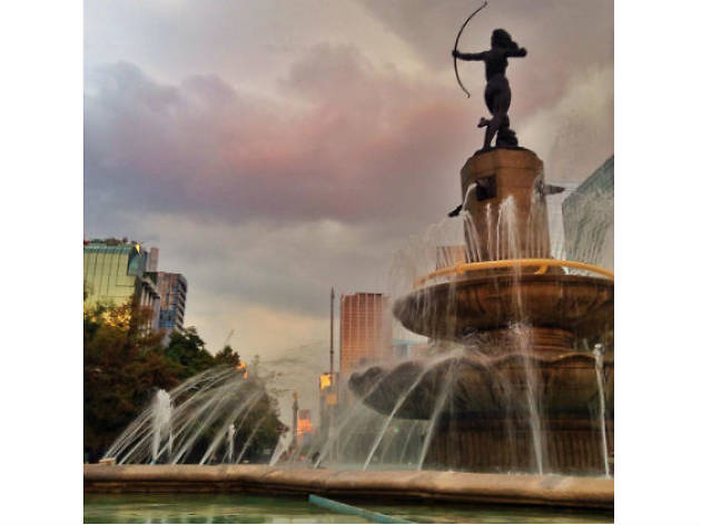 Reforma en Instagram Reforma en Instagram