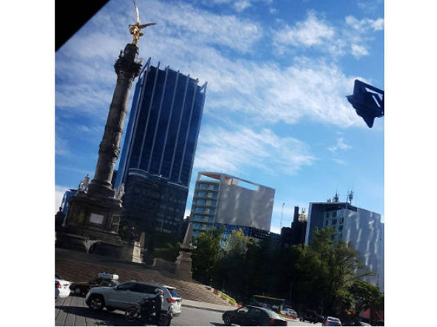 Reforma en Instagram Reforma en Instagram