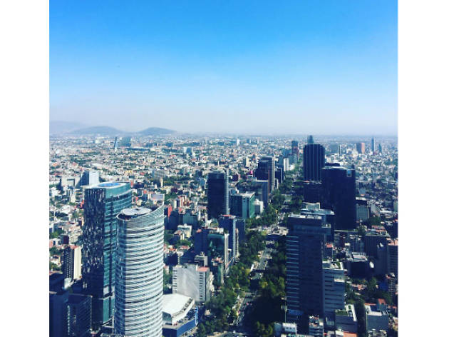 Reforma en Instagram Reforma en Instagram