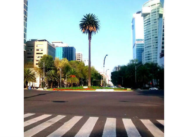 Reforma en Instagram Reforma en Instagram