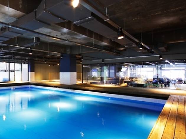 indoor swimming for dogs