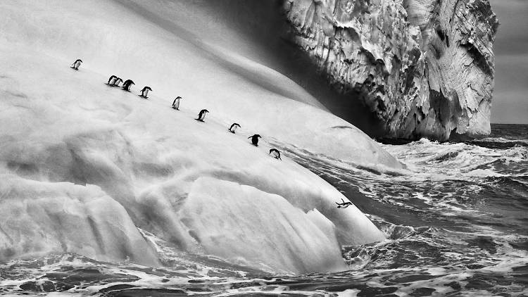 Sebastião Salgado: The World Through His Eyes 