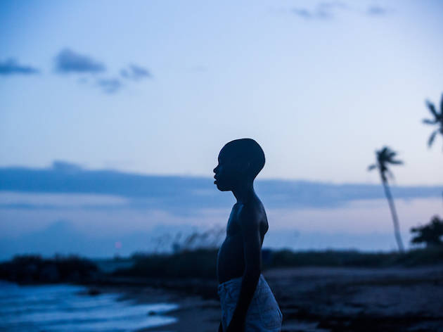 Moonlight / Ay Işığı Moonlight / Ay Işığı
