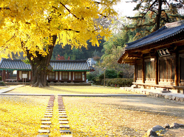 Jeonju - Hyanggyo Jeonju - Hyanggyo