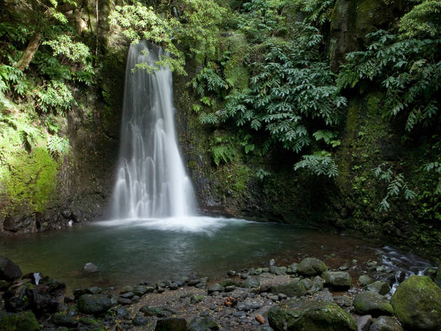 Ilha de São Miguel - Cascata do Salto do Pego Ilha de São Miguel - Cascata do Salto do Pego