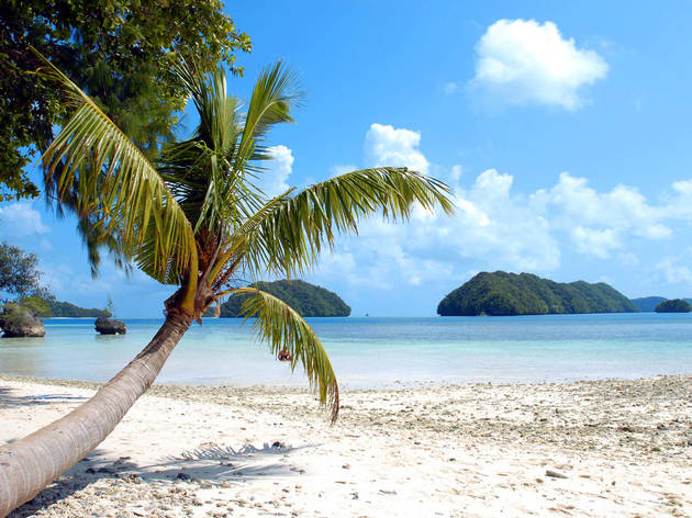 Palau Palau