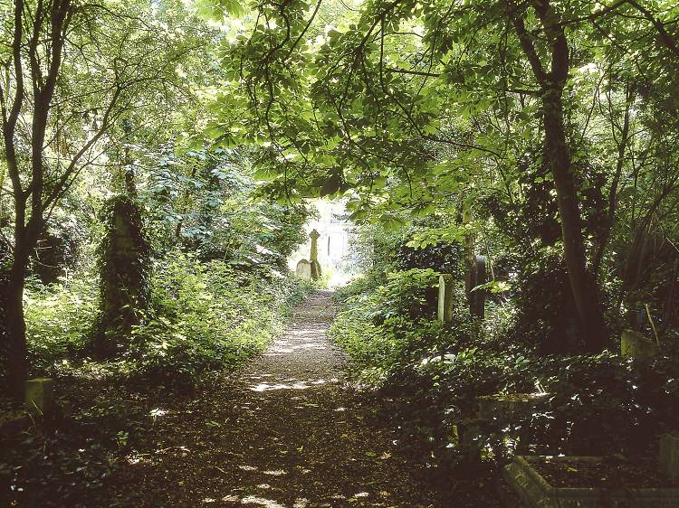 Abney Park Cemetery