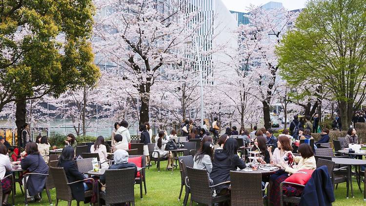 MIDTOWN BLOSSOM 2017 | Time Out Tokyo