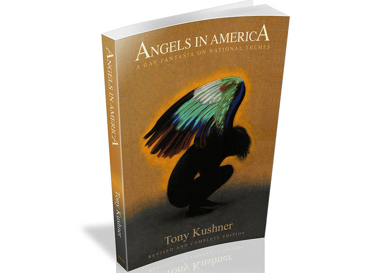 Angels in America by Tony Kushner