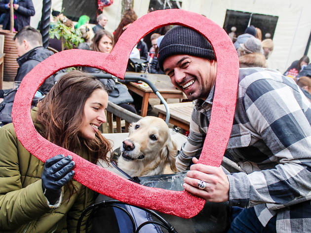 Valentine's Day Dog Walk