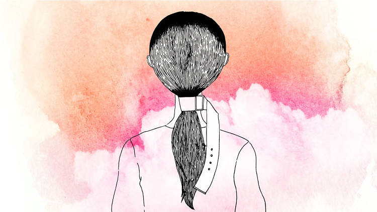 The low pony The low pony