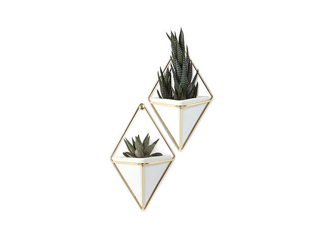 Umbra Trigg planter Umbra Trigg planter