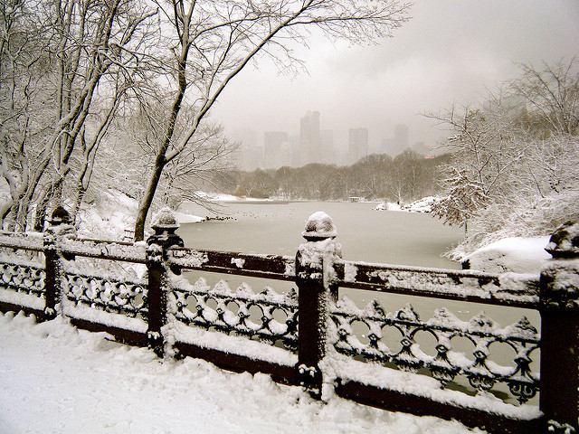 NYC Blizzard of 2000 –