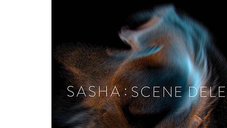 Sasha & John Digweed “Time After Time”