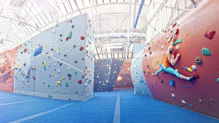 The Arch Climbing Wall