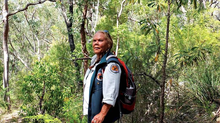 Indigenous guide in Dharawal National Park 