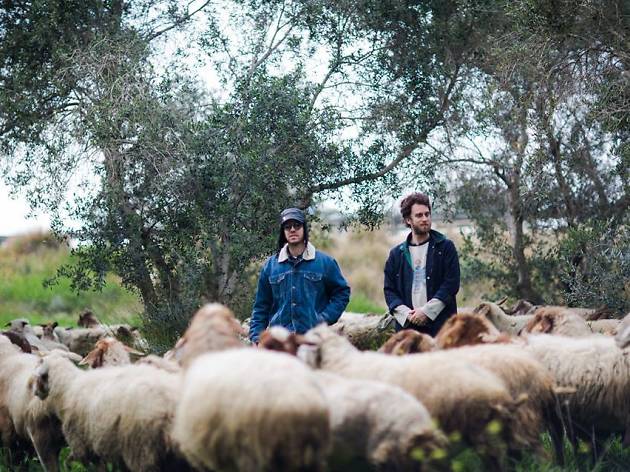 Red Axes Red Axes