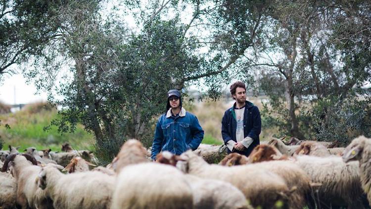 Red Axes Red Axes