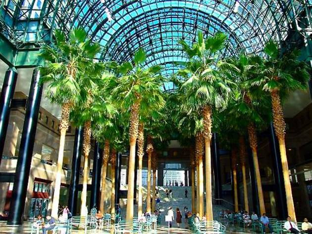 Watch free movies under palm trees at Brookfield Place's indoor atrium Watch free movies under palm trees at Brookfield Place's indoor atrium
