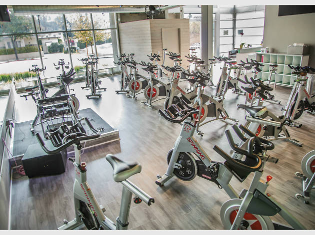 rev spin studio