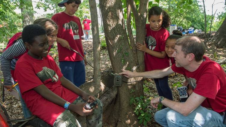 WCS Zoo and Aquarium Camps