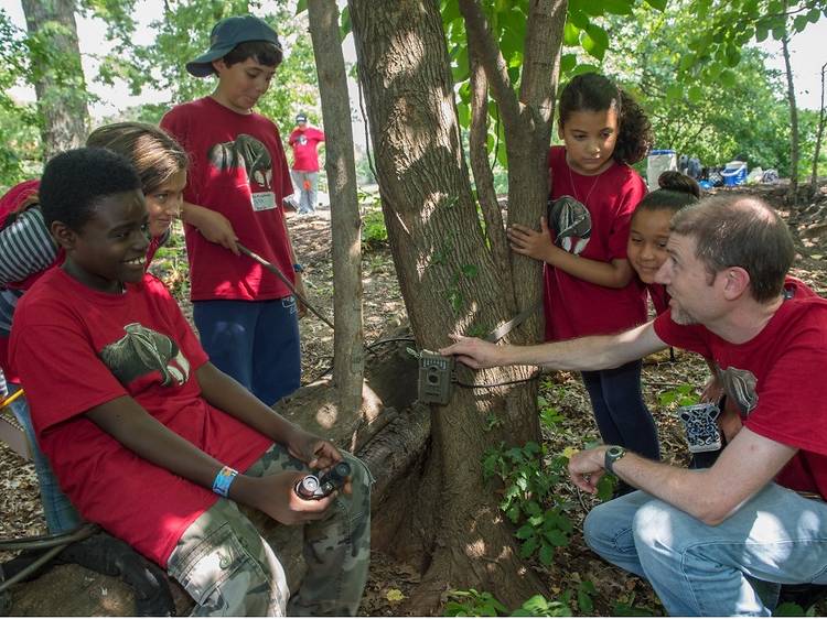 WCS Zoo and Aquarium Camps