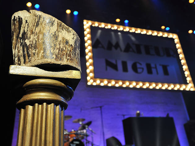 amateur night at the apollo