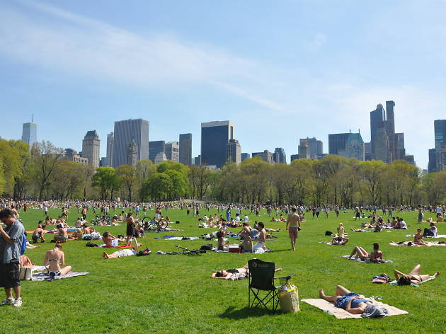 The weather is going to be absolutely gorgeous for this long weekend The weather is going to be absolutely gorgeous for this long weekend