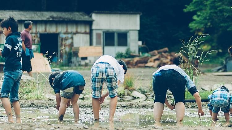 エコシステムを体験する。