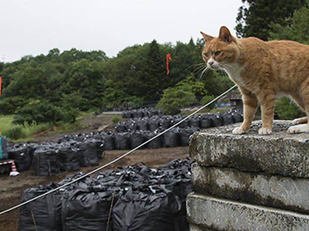 出口は見えない-飯舘村の人と犬猫の今 出口は見えない-飯舘村の人と犬猫の今