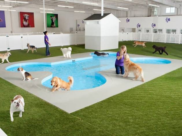 A new terminal just for animals has opened at JFK A new terminal just for animals has opened at JFK