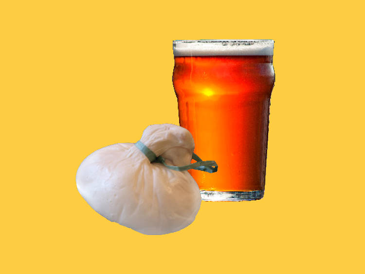 Burrata and pilsner beer