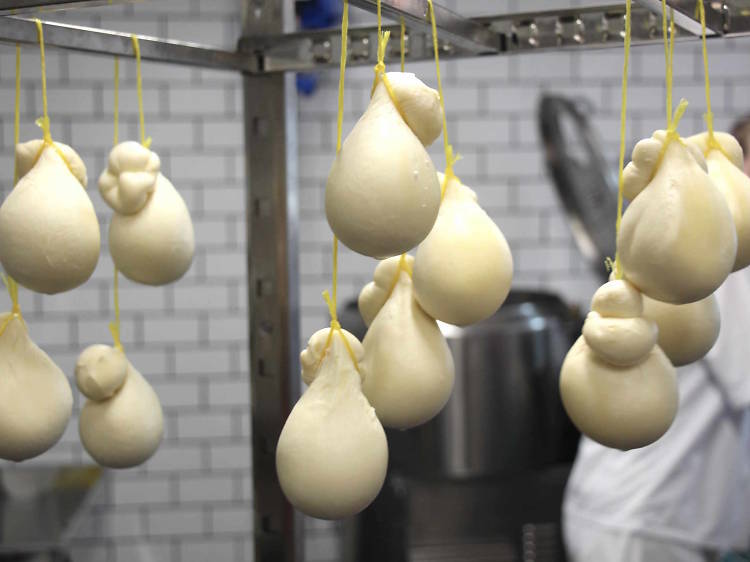 Where to learn to make cheese in Melbourne