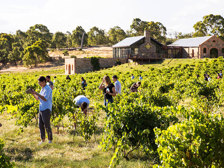 Barossa Valley