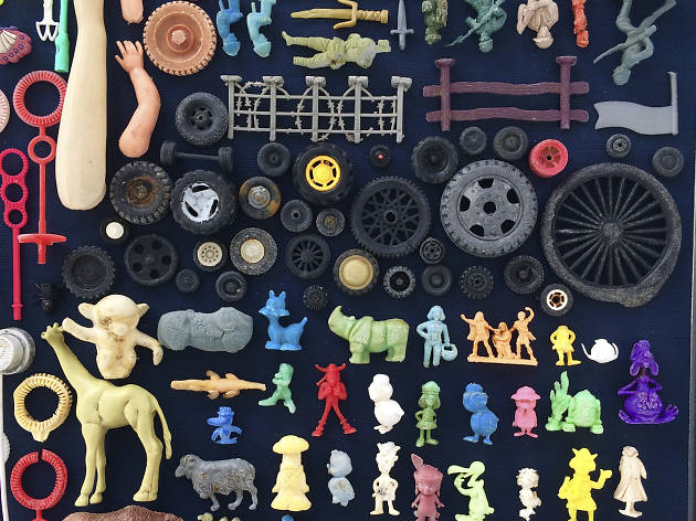 plasticus maritimus plasticus maritimus