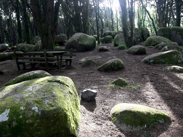 Parque da Peninha - Sintra Parque da Peninha - Sintra