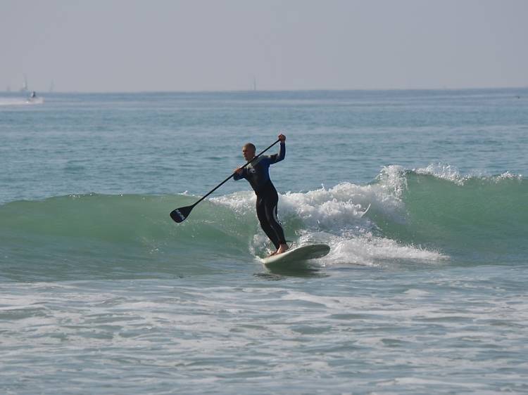 Paddle Surf