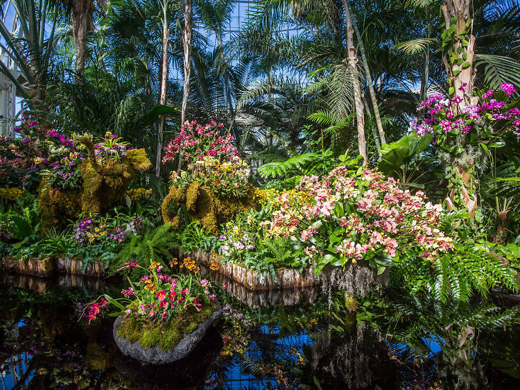 Peep the blooms at the New York Botanical Garden